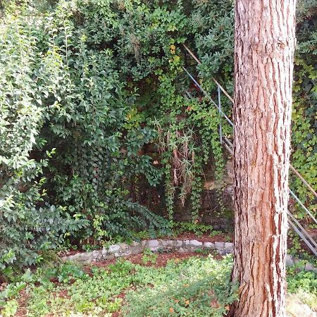 Casa Tina Lejlighed Santa Margherita Ligure Eksteriør billede